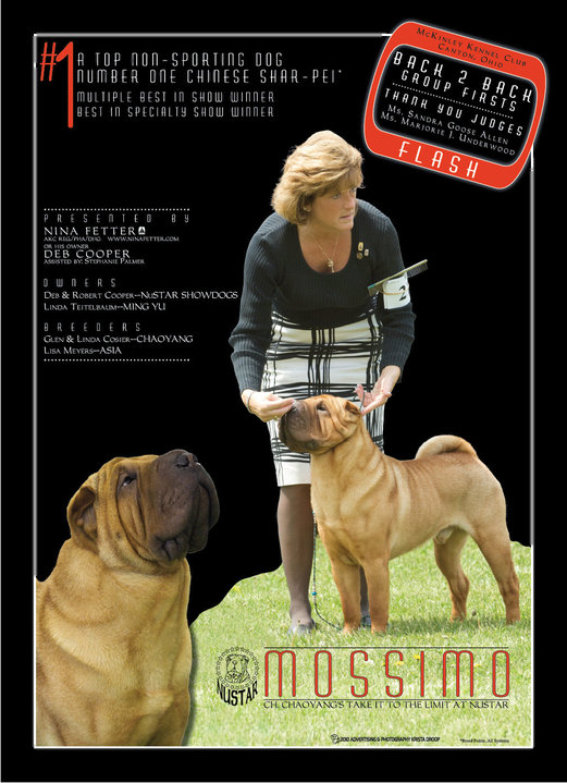 Nina Fetter - AKC Registered Professional All Breed Handler